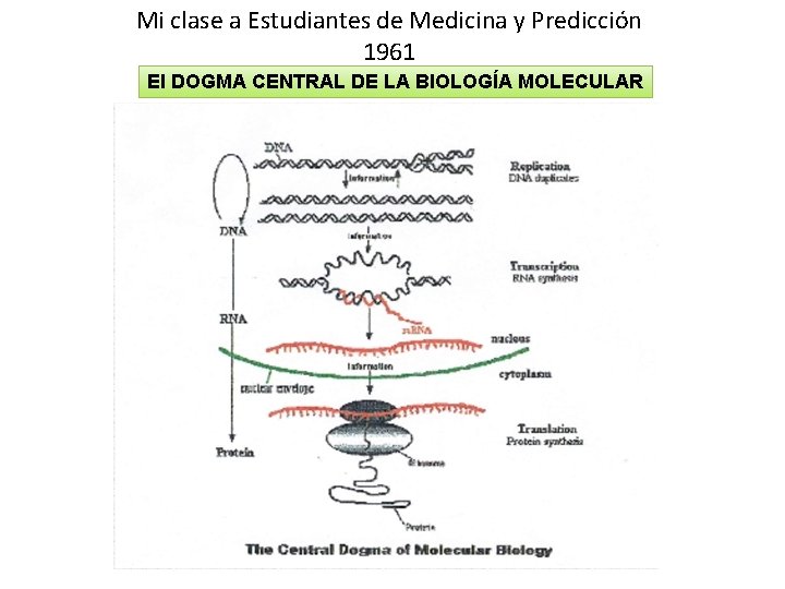 Mi clase a Estudiantes de Medicina y Predicción 1961 El DOGMA CENTRAL DE LA