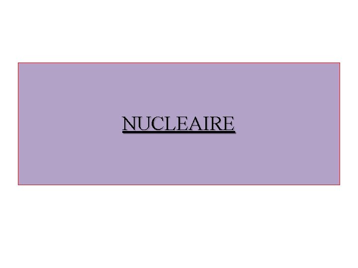 NUCLEAIRE 