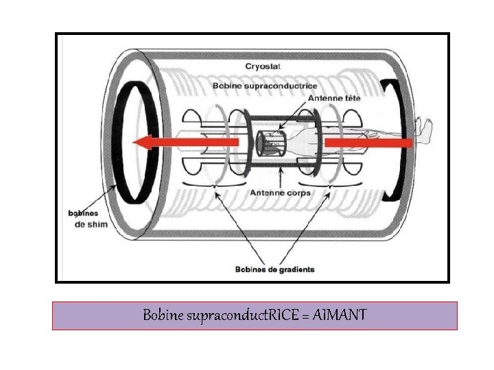 Bobine supraconduct. RICE = AIMANT 