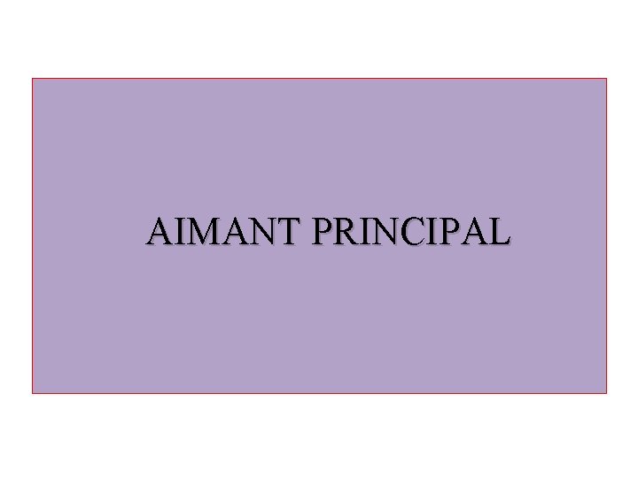  AIMANT PRINCIPAL 