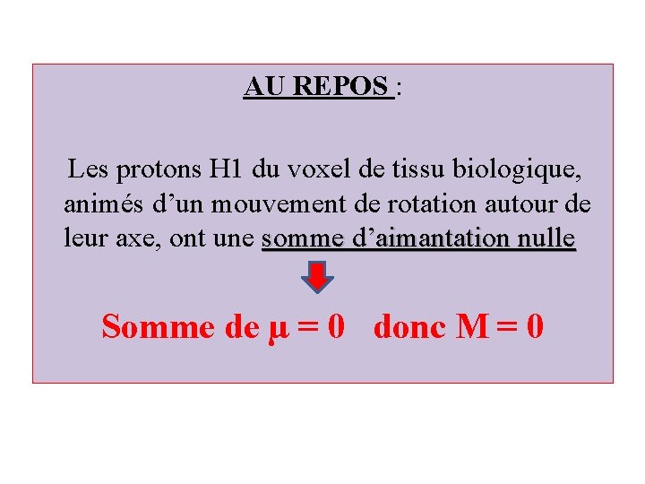 AU REPOS : Les protons H 1 du voxel de tissu biologique, animés d’un