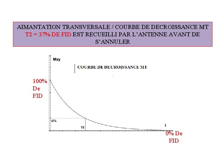 AIMANTATION TRANSVERSALE / COURBE DE DECROISSANCE MT T 2 = 37% DE FID EST