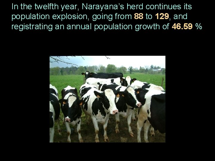 In the twelfth year, Narayana’s herd continues its population explosion, going from 88 to