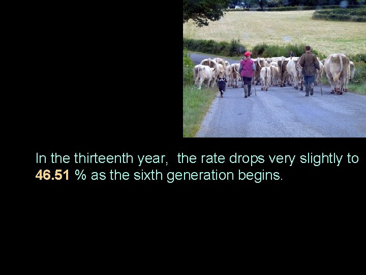 In the thirteenth year, the rate drops very slightly to 46. 51 % as