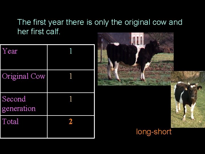 The first year there is only the original cow and her first calf. Year