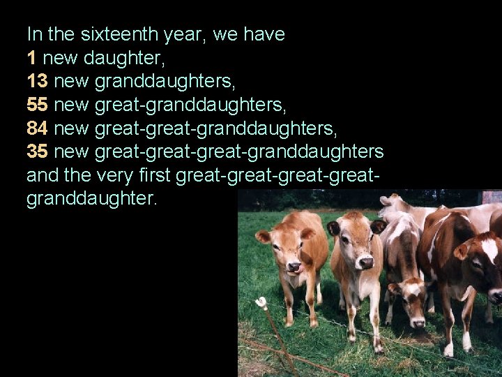 In the sixteenth year, we have 1 new daughter, 13 new granddaughters, 55 new