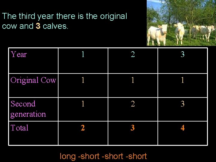 The third year there is the original cow and 3 calves. Year 1 2