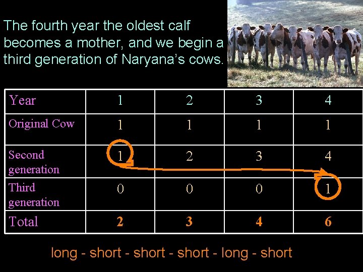 The fourth year the oldest calf becomes a mother, and we begin a third