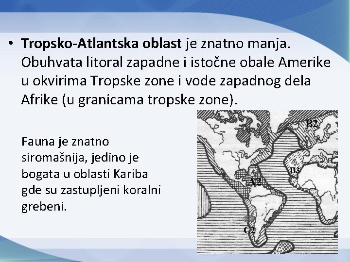  • Tropsko-Atlantska oblast je znatno manja. Obuhvata litoral zapadne i istočne obale Amerike