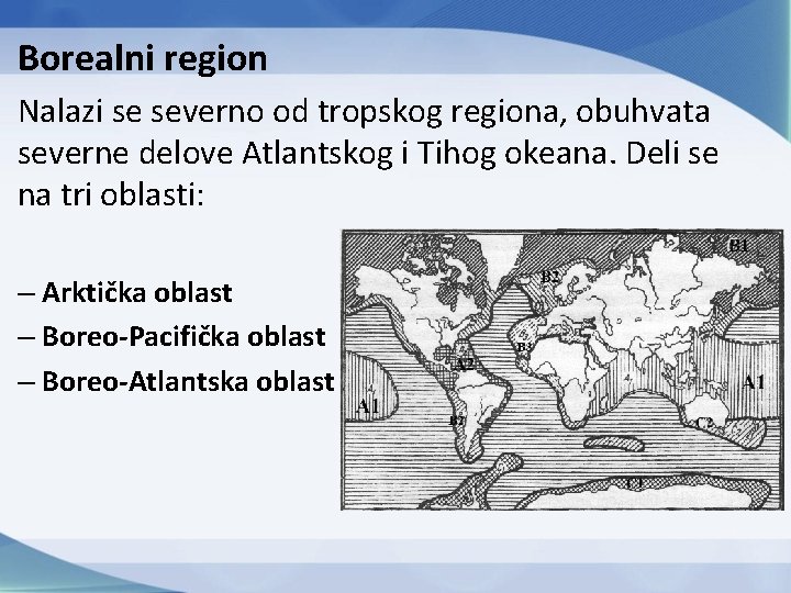 Borealni region Nalazi se severno od tropskog regiona, obuhvata severne delove Atlantskog i Tihog