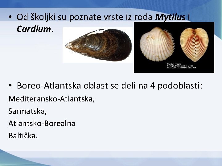  • Od školjki su poznate vrste iz roda Mytilus i Cardium. • Boreo-Atlantska