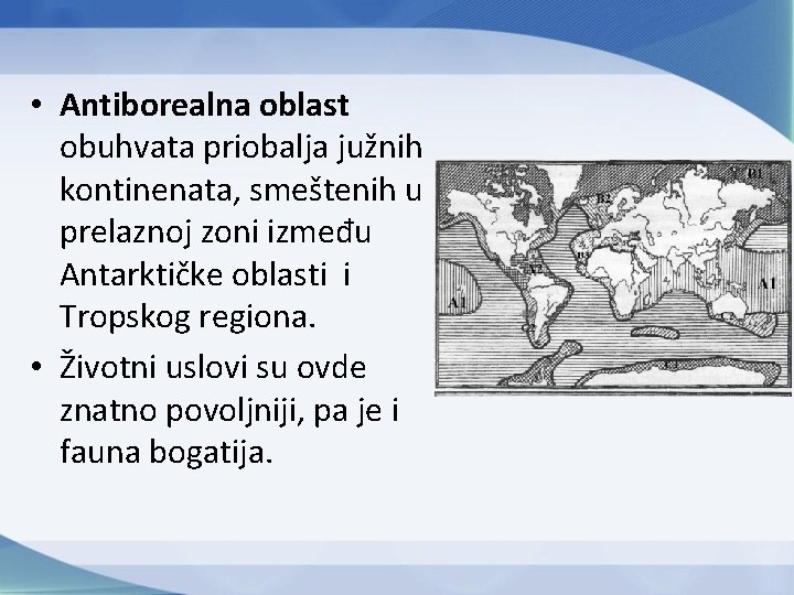  • Antiborealna oblast obuhvata priobalja južnih kontinenata, smeštenih u prelaznoj zoni između Antarktičke