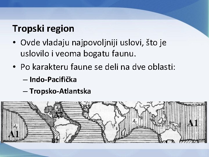 Tropski region • Ovde vladaju najpovoljniji uslovi, što je uslovilo i veoma bogatu faunu.