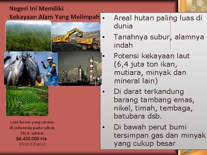 Negeri Ini Memiliki Kekayaan Alam Yang Melimpah • Luas hutan yang tersisa di Indonesia