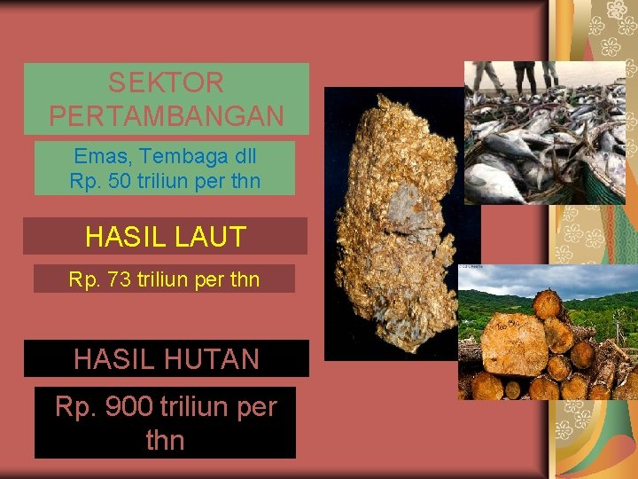 SEKTOR PERTAMBANGAN Emas, Tembaga dll Rp. 50 triliun per thn HASIL LAUT Rp. 73