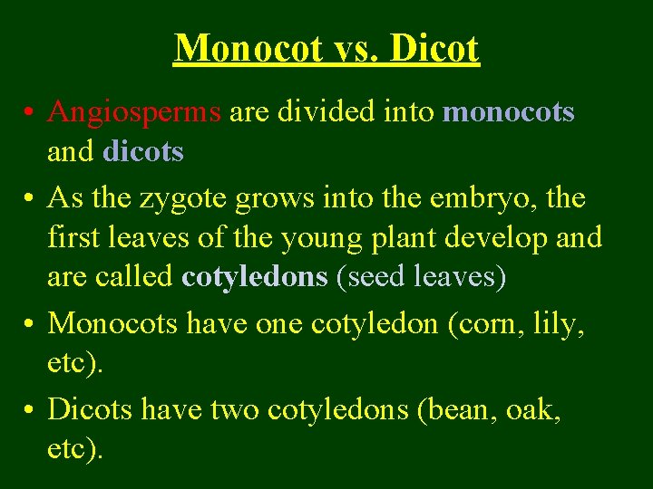 Monocot vs. Dicot • Angiosperms are divided into monocots and dicots • As the