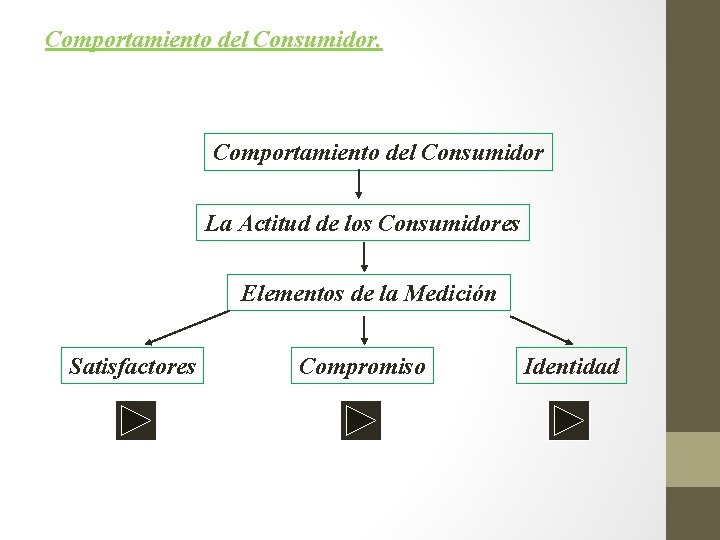 Comportamiento del Consumidor. Comportamiento del Consumidor La Actitud de los Consumidores Elementos de la