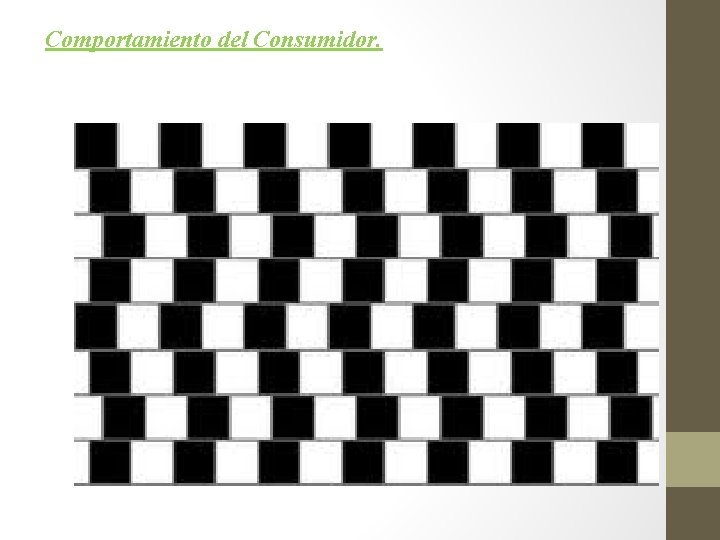 Comportamiento del Consumidor. 