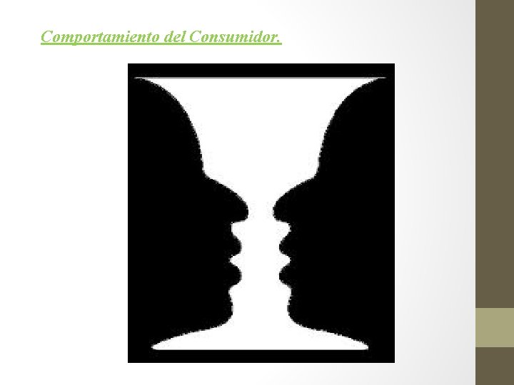 Comportamiento del Consumidor. 