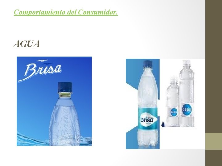 Comportamiento del Consumidor. AGUA 