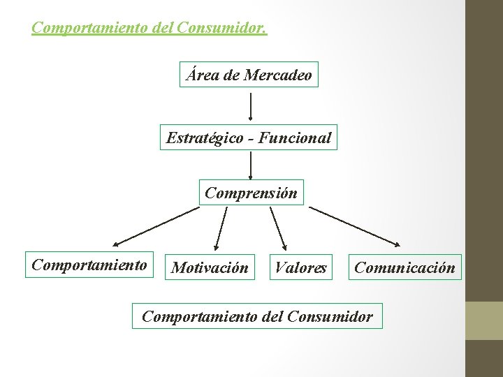 Comportamiento del Consumidor. Área de Mercadeo Estratégico - Funcional Comprensión Comportamiento Motivación Valores Comunicación