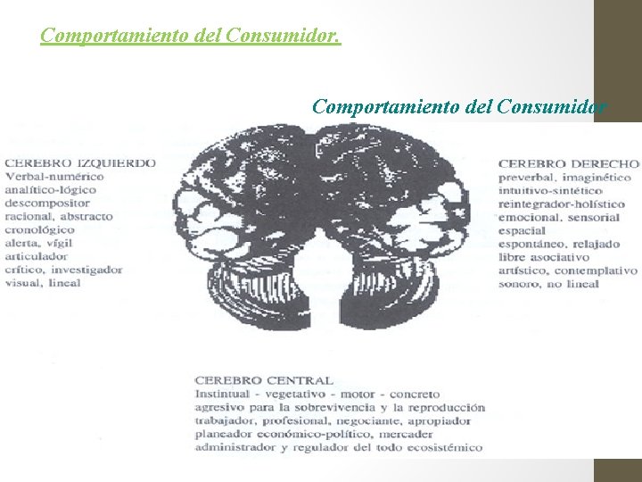 Comportamiento del Consumidor 