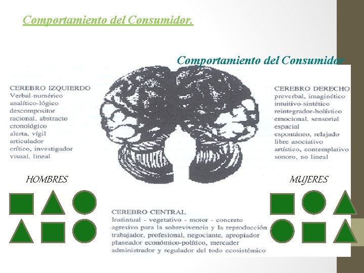 Comportamiento del Consumidor HOMBRES MUJERES 