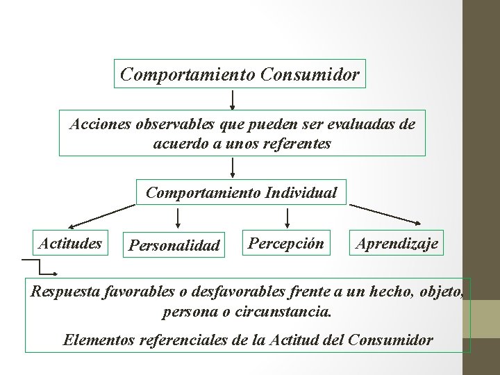 Comportamiento Consumidor Acciones observables que pueden ser evaluadas de acuerdo a unos referentes Comportamiento