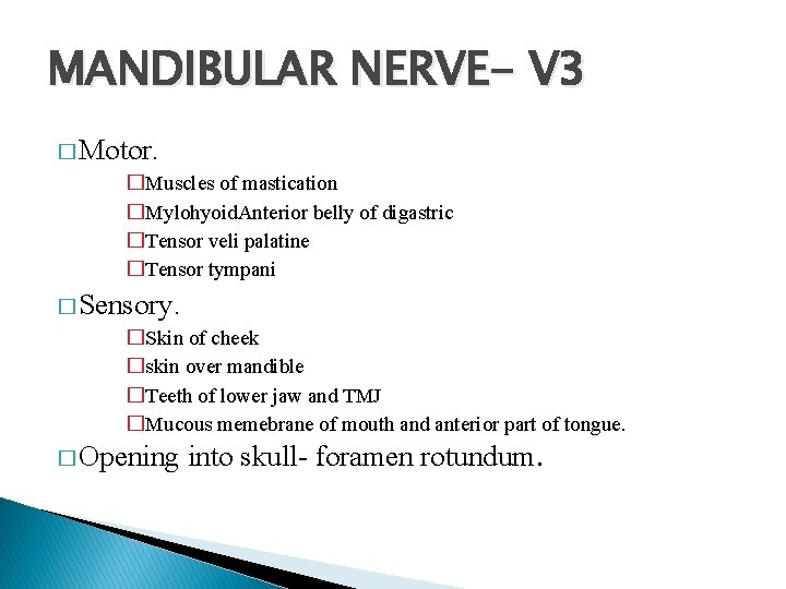 MANDIBULAR NERVE- V 3 � Motor. �Muscles of mastication �Mylohyoid. Anterior belly of digastric MANDIBULAR NERVE- V 3 � Motor. �Muscles of mastication �Mylohyoid. Anterior belly of digastric