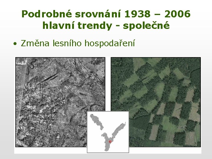 Podrobné srovnání 1938 – 2006 hlavní trendy - společné • Změna lesního hospodaření 