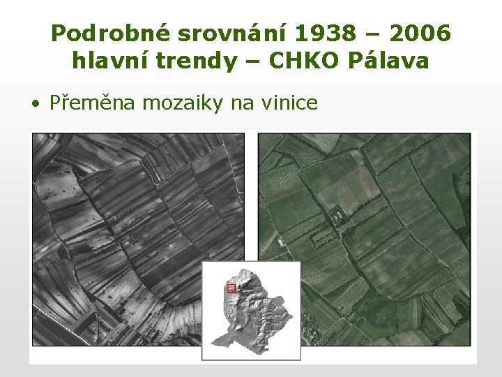 Podrobné srovnání 1938 – 2006 hlavní trendy – CHKO Pálava • Přeměna mozaiky na
