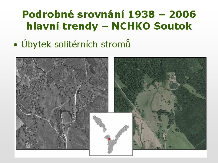 Podrobné srovnání 1938 – 2006 hlavní trendy – NCHKO Soutok • Úbytek solitérních stromů