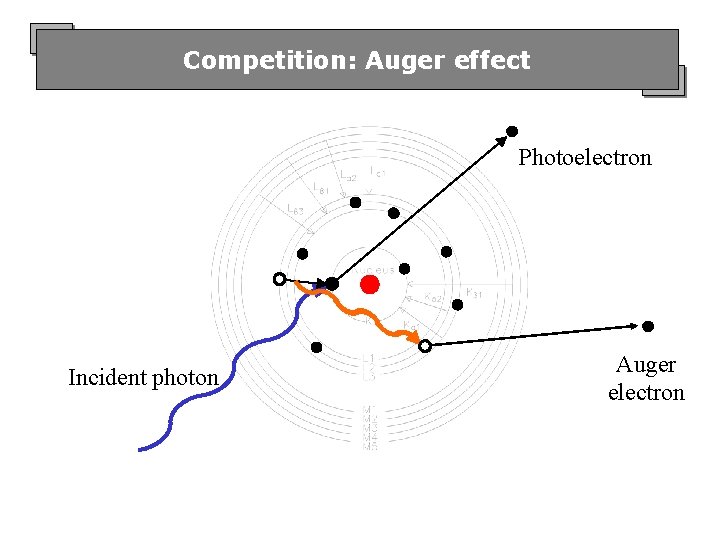 Competition: Auger effect Photoelectron Incident photon Auger electron 