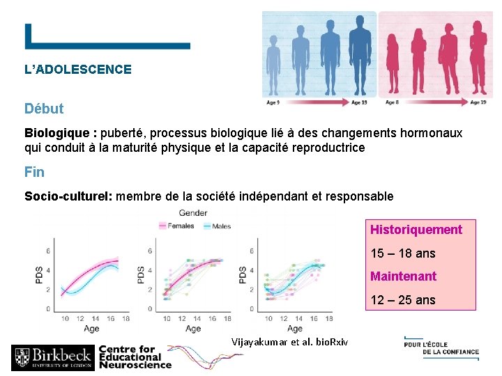 L’ADOLESCENCE Début Biologique : puberté, processus biologique lié à des changements hormonaux qui conduit