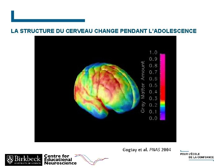 Brain structure changes. CHANGE during development LA STRUCTURE DU CERVEAU PENDANT L’ADOLESCENCE Gogtay et