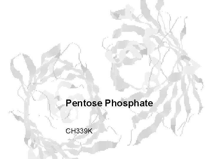 Pentose Phosphate CH 339 K 