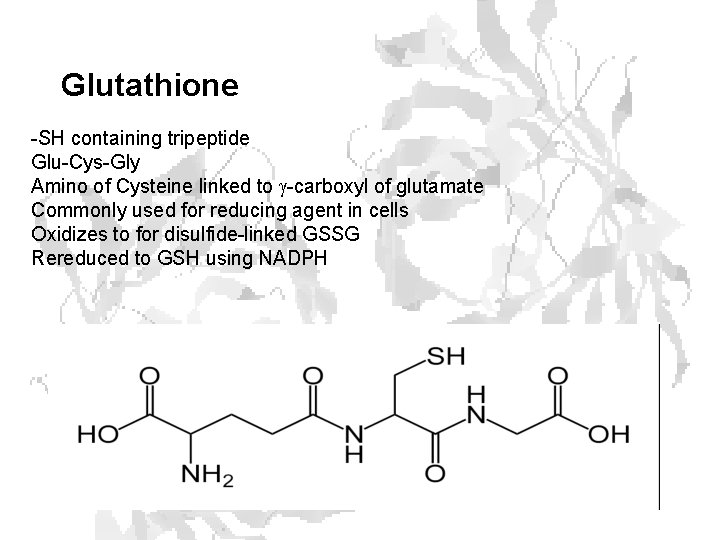 Glutathione -SH containing tripeptide Glu-Cys-Gly Amino of Cysteine linked to g-carboxyl of glutamate Commonly