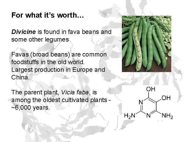 For what it’s worth… Divicine is found in fava beans and some other legumes