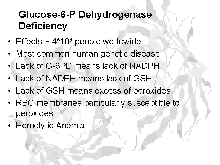 Glucose-6 -P Dehydrogenase Deficiency • • • Effects ~ 4*108 people worldwide Most common