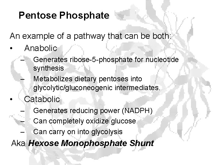 Pentose Phosphate An example of a pathway that can be both: • Anabolic –