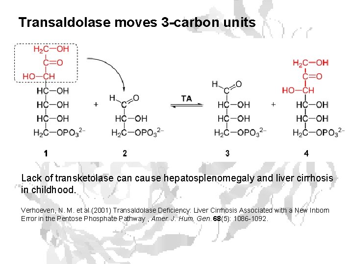 Transaldolase moves 3 -carbon units Lack of transketolase can cause hepatosplenomegaly and liver cirrhosis