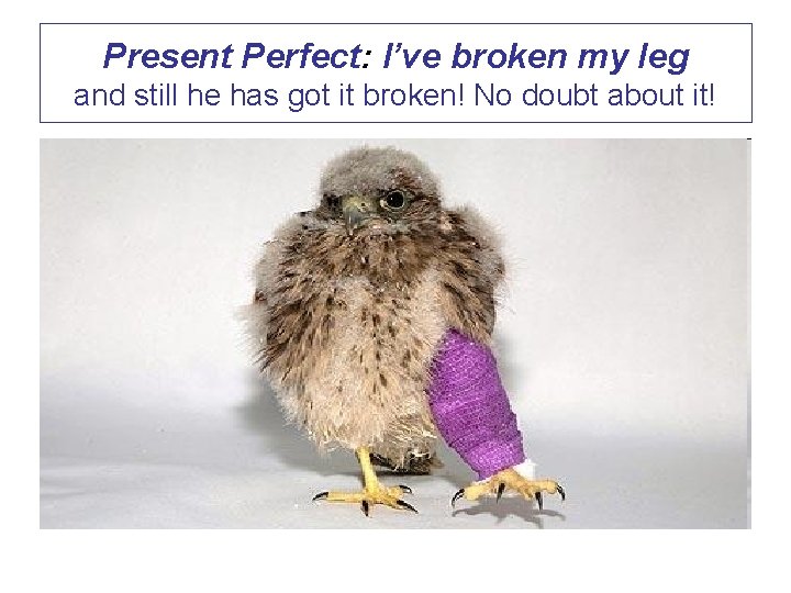 Present Perfect: I’ve broken my leg and still he has got it broken! No