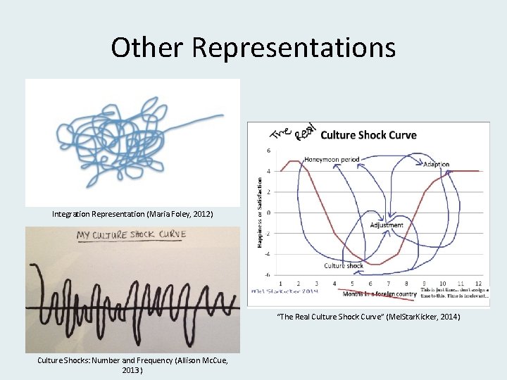 Other Representations Integration Representation (Maria Foley, 2012) “The Real Culture Shock Curve” (Mel. Star.