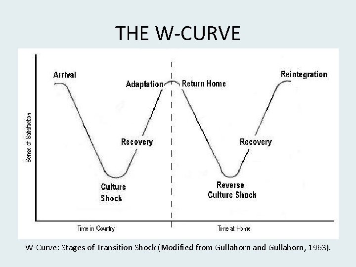 THE W-CURVE W-Curve: Stages of Transition Shock (Modified from Gullahorn and Gullahorn, 1963). 