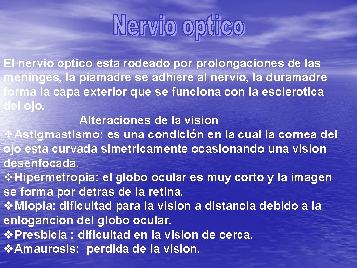  El nervio optico esta rodeado por prolongaciones de las meninges, la piamadre se