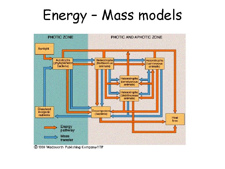 Energy – Mass models 