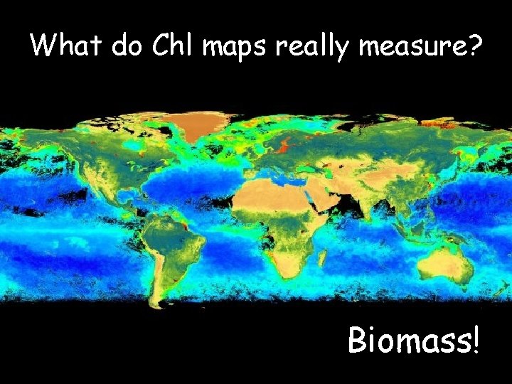 What do Chl maps really measure? Biomass! 