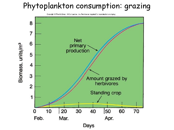 Phytoplankton consumption: grazing 