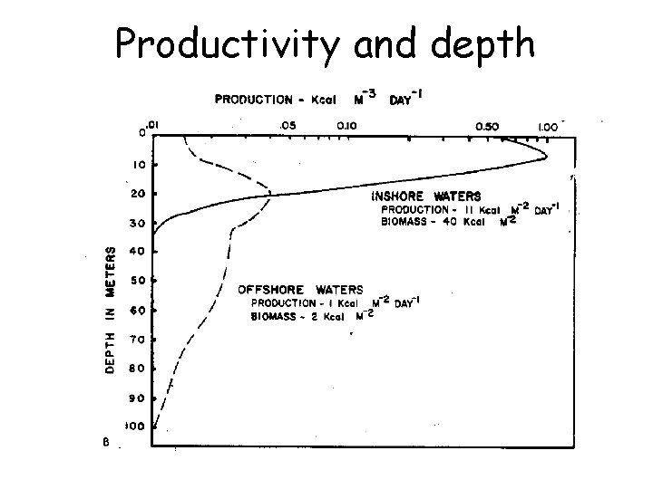 Productivity and depth 