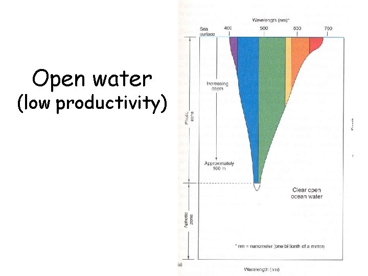 Open water (low productivity) 